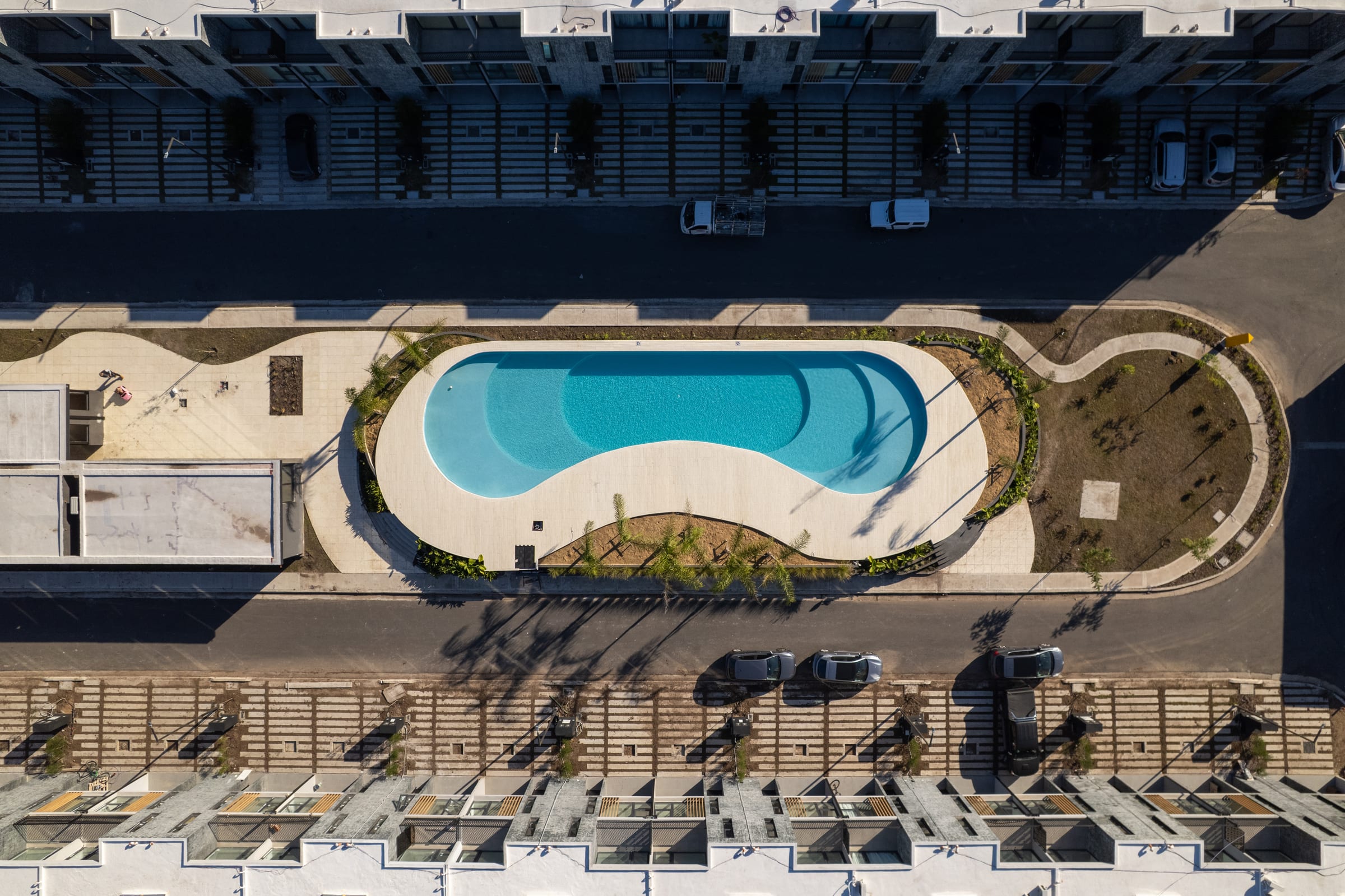 Sunny Tigre — imagen 2